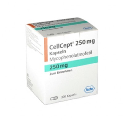 Фото препарата Селлсепт Cellcept (Mycophenolate Mofetil) 250 мг/300 таблеток